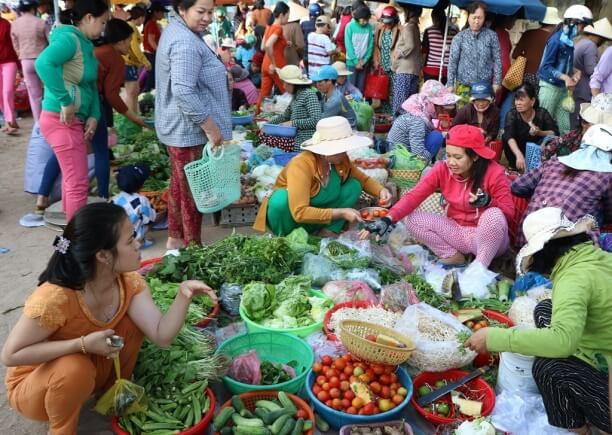 Lý thuyết KHTN 7 Chân trời sáng tạo Bài 14: Phản xạ âm