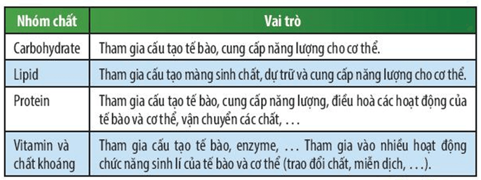 Lý thuyết KHTN 7 Chân trời sáng Bài 28: Vai trò của nước và các chất dinh dưỡng đối với cơ thể sinh vật | Khoa học tự nhiên 7