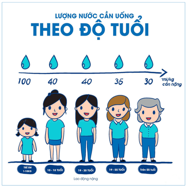 Lý thuyết KHTN 7 Chân trời sáng Bài 30: Trao đổi nước và các chất dinh dưỡng ở động vật | Khoa học tự nhiên 7