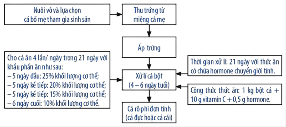 Lý thuyết KHTN 7 Chân trời sáng Bài 38: Các yếu tố ảnh hưởng đến sinh sản và điều hoà, điều khiển sinh sản ở sinh vật | Khoa học tự nhiên 7