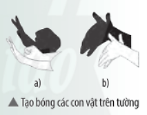 Đặt một đèn bàn chiếu sáng vào tường. Đưa bàn tay của em chắn chùm ánh sáng