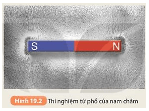 Các mạt sắt xung quanh nam châm (Hình 19.2) được sắp xếp thành những đường như thế nào? (ảnh 3)