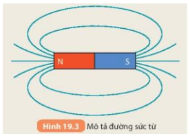 Dùng bút tô dọc theo các đường mạt sắt nối từ cực nọ sang cực kia của nam châm (ảnh 4)