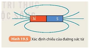 Xác định chiều đường sức từ của một nam châm thẳng trong Hình 19.5 (ảnh 6)