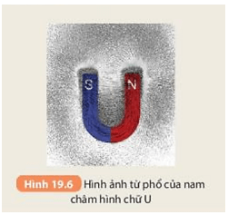 Hình 19.6 cho biết từ phổ của nam châm hình chữ U. Dựa vào đó hãy vẽ đường sức từ (ảnh 8)