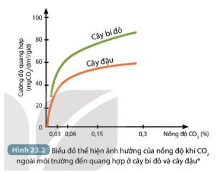 Quan sát Hình 23.2 và cho biết ảnh hưởng của nồng độ khí CO2 đến quang hợp (ảnh 2)