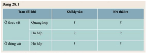 Đọc thông tin trên rồi hoàn thành nội dung theo mẫu Bảng 28.1 (ảnh 1)