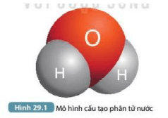 Tính phân cực của phân tử nước được thể hiện như thế nào? (ảnh 2)