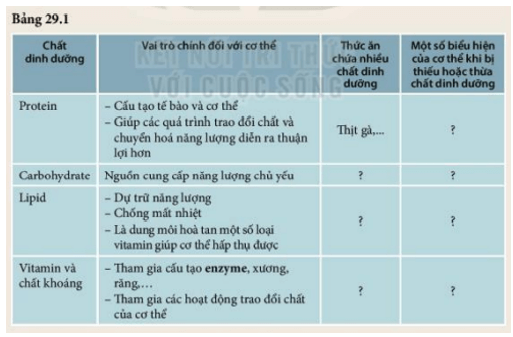 Quan sát Hình 29.6 và liên hệ với các kiến thức đã học, thảo luận nhóm (ảnh 7)