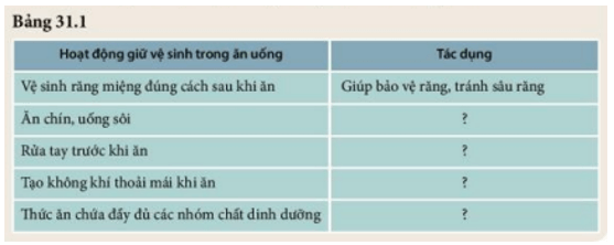 Thảo luận với bạn và hoàn thành nội dung theo mẫu Bảng 31.1 (ảnh 4)