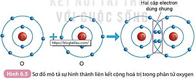 Quan sát Hình 6.4 và Hình 6.5, cho biết số electron lớp ngoài cùng của H và O (ảnh 1)