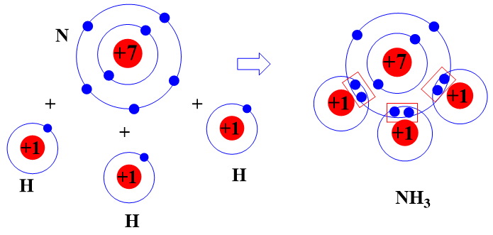 Hãy mô tả sự hình thành liên kết cộng hóa trị trong phân tử carbon dioxide, ammonia (ảnh 1)