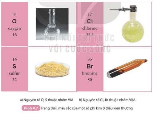 Xác định vị trí (số thứ tự, chu kì, nhóm) của các nguyên tố có tên trong Hình 4.7 (ảnh 1)