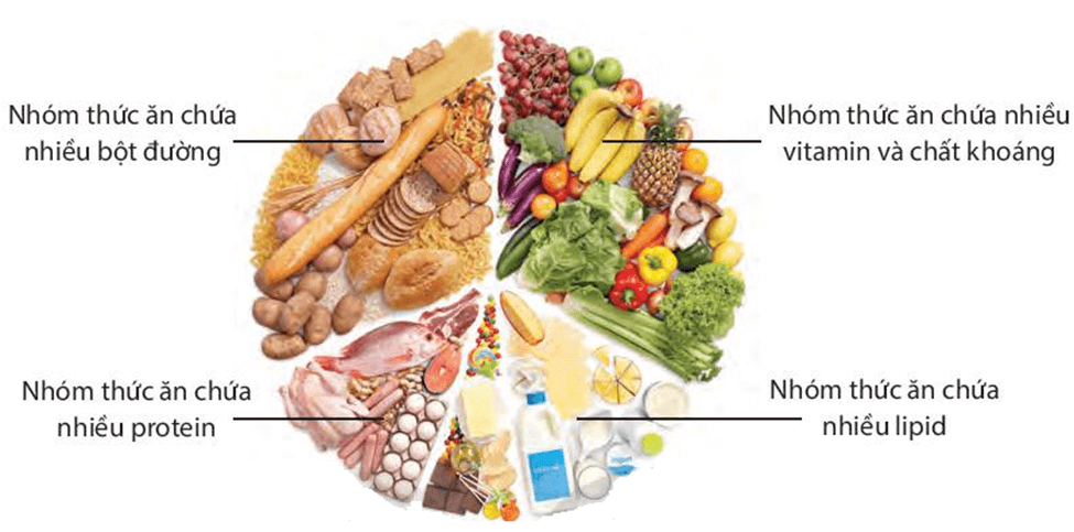 Lý thuyết KHTN 7 Kết nối tri thức Bài 29: Vai trò của nước và chất dinh dưỡng đối với sinh vật