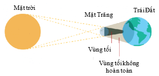 Trắc nghiệm KHTN 7 Kết nối tri thức Bài 15 (có đáp án): Năng lượng ánh sáng. Tia sáng, vùng tối (ảnh 1)