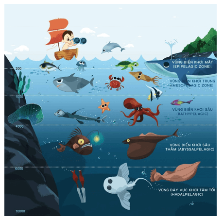 Vẽ phác thảo sự phân bố của các sinh vật ở các tầng nước khác nhau phân chia theo chiều thẳng đứng