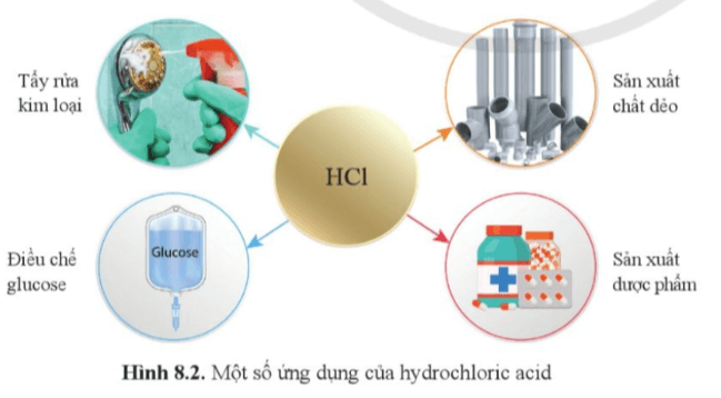 Dựa vào hình 8.2 nêu một số ứng dụng của hydrochloric acid