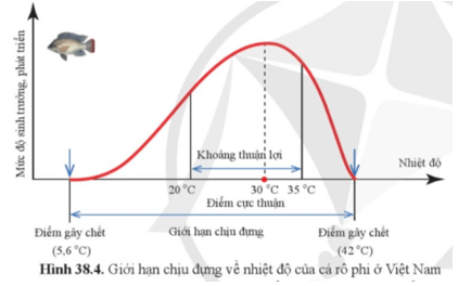 Quan sát hình 38.4 và cho biết cá rô phi có thể Tồn tại được trong khoảng nhiệt độ nào?