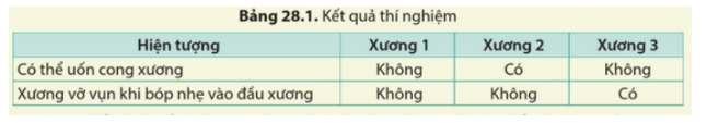 Thành phần hóa học của xương động vật cũng tương tự xương người