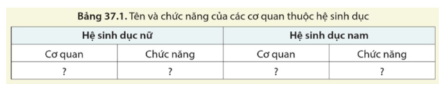 Nêu tên cơ quan và chức năng của các cơ quan thuộc hệ sinh dục nữ hệ sinh dục nam theo bảng gợi ý