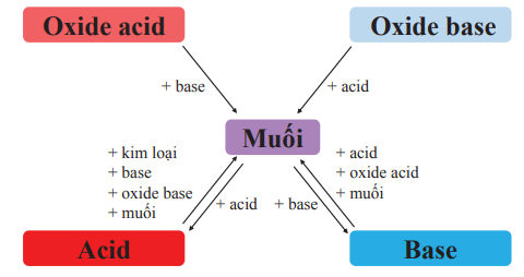 Lý thuyết KHTN 8 Cánh diều Bài 12: Muối