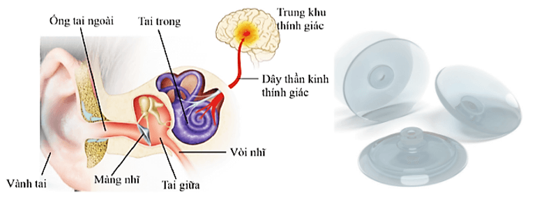 Lý thuyết KHTN 8 Cánh diều Bài 17: Áp suất trong chất lỏng và trong chất khí