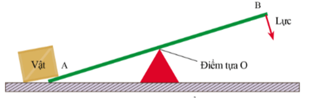 Lý thuyết KHTN 8 Cánh diều Bài 19: Đòn bẩy