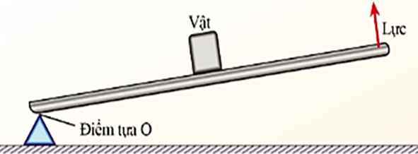 Lý thuyết KHTN 8 Cánh diều Bài 19: Đòn bẩy