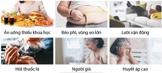 Lý thuyết KHTN 8 Cánh diều Bài 30: Máu và hệ tuần hoàn ở người