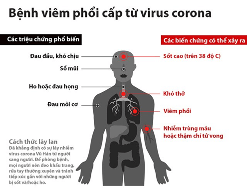 Lý thuyết KHTN 8 Cánh diều Bài 32: Hệ hô hấp ở người