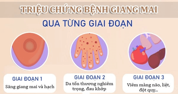 Lý thuyết KHTN 8 Cánh diều Bài 37: Sinh sản ở người