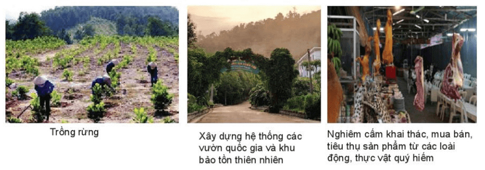 Lý thuyết KHTN 8 Cánh diều Bài 40: Quần xã sinh vật