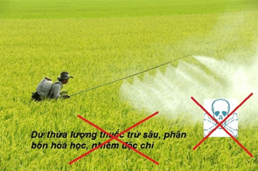 Lý thuyết KHTN 8 Cánh diều Bài 41: Hệ sinh thái