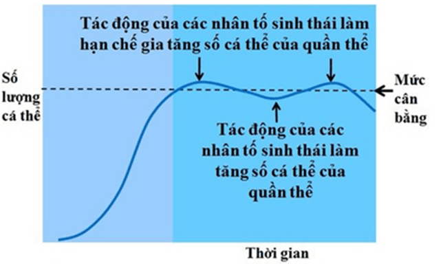 Lý thuyết KHTN 8 Cánh diều Bài 42: Cân bằng tự nhiên và bảo vệ môi trường