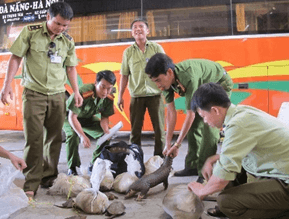 Lý thuyết KHTN 8 Cánh diều Bài 42: Cân bằng tự nhiên và bảo vệ môi trường