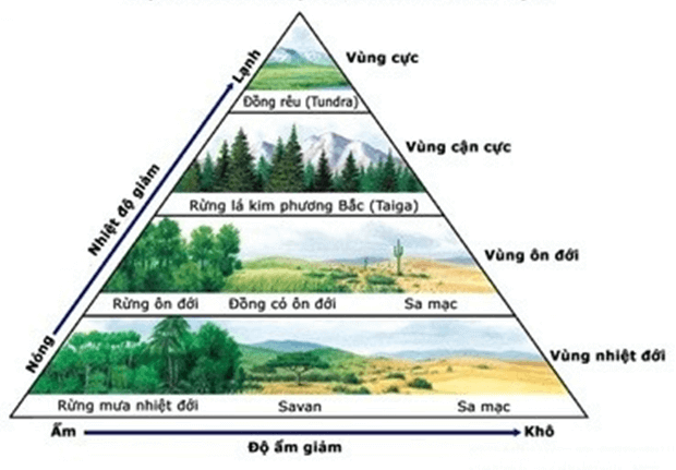 Lý thuyết KHTN 8 Cánh diều Bài 43: Khái quát về sinh quyển và các khu sinh học