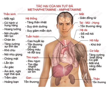 Thiết kế tờ rơi bài trình bày để tuyên truyền cho mọi người tác hại của sử dụng chất gây nghiện