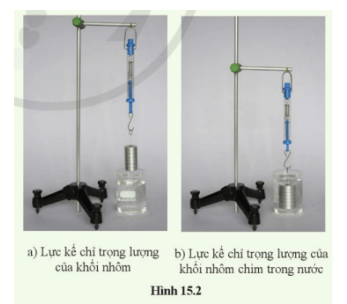 Chuẩn bị Lực kế, giá đỡ, khối nhôm cốc nước rượu hoặc nước muối