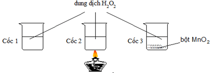 Trắc nghiệm Khoa học tự nhiên 8 Cánh diều Bài 7 (có đáp án): Tốc độ phản ứng và chất xúc tác | Khoa học tự nhiên 8