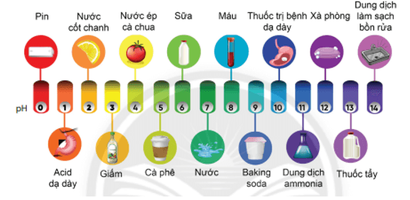 Hình vẽ sau đây giới thiệu các giá trị pH của một số sản phẩm hàng ngày