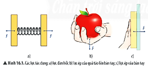 Quan sát Hình 16.1 hãy cho biết các lực tác dụng có chung đặc điểm gì