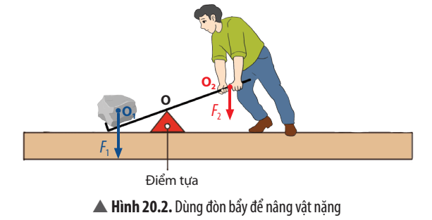 Quan sát Hình 20.2 và trả lời các câu hỏi sau trang 96 KHTN lớp 8