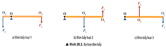 Ứng dụng với mỗi loại đòn bẩy (Hình 20.3), hãy nhận xét về vị trí điểm tựa