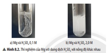 Ống nghiệm nào có hiện tượng sủi bọt khí nhanh hơn? Giải thích