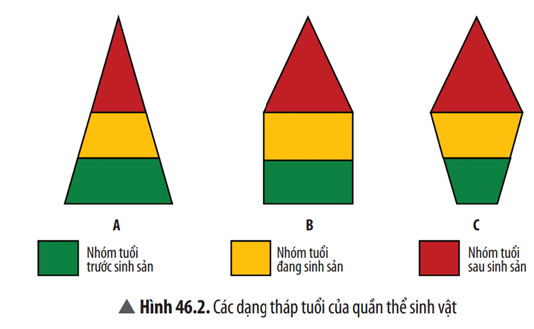 Hãy xác định trạng thái của các quần thể A,  B, C trong Hình 46.2