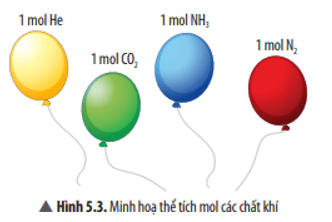 Em có nhận xét gì về thể tích của 1 mol các chất khí ở cùng điều kiện về nhiệt độ