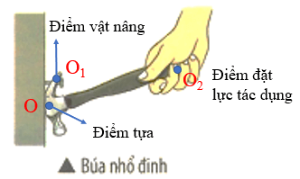 Búa nhổ đinh hoạt động theo nguyên tắc đòn bẩy, trong đó moment lực tác dụng