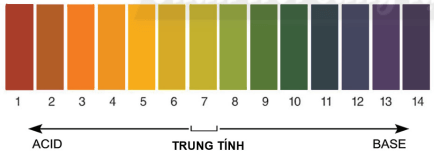 Lý thuyết KHTN 8 Chân trời sáng tạo Bài 11: Thang pH