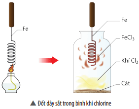 Lý thuyết KHTN 8 Chân trời sáng tạo Bài 13: Muối