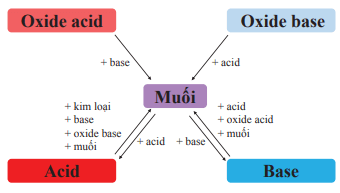 Lý thuyết KHTN 8 Chân trời sáng tạo Bài 13: Muối